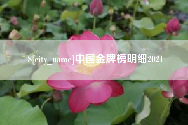 北京中国金牌榜明细2021