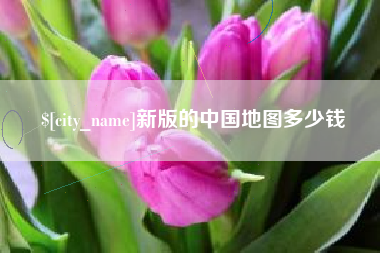 北京新版的中国地图多少钱