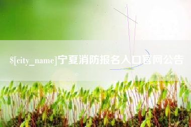 北京宁夏消防报名入口官网公告