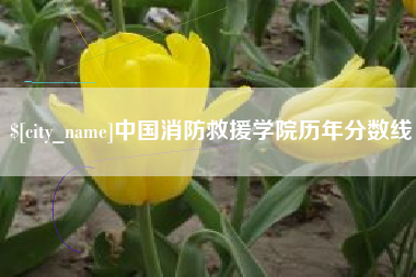 北京中国消防救援学院历年分数线