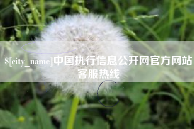 北京中国执行信息公开网官方网站客服热线