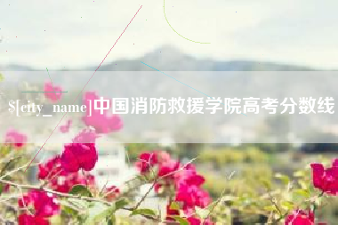 北京中国消防救援学院高考分数线