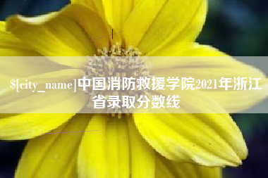北京中国消防救援学院2021年浙江省录取分数线