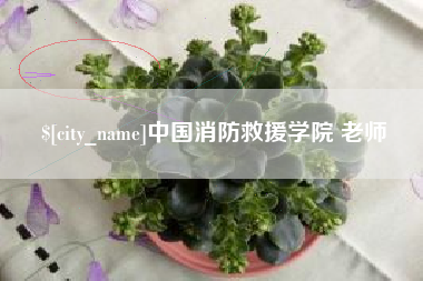 北京中国消防救援学院 老师
