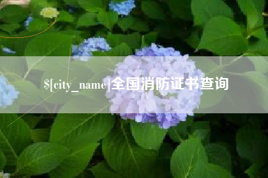 北京全国消防证书查询