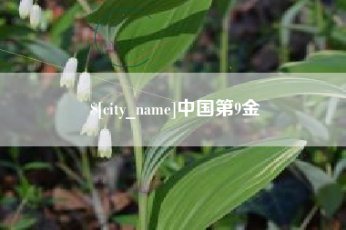 北京中国第9金