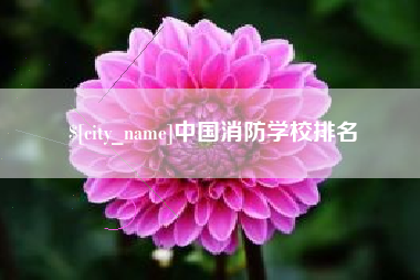 北京中国消防学校排名