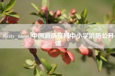 北京中国消防官网中小学消防公开课