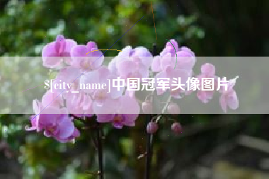 北京中国冠军头像图片