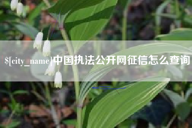 北京中国执法公开网征信怎么查询