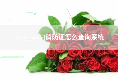 北京消防证怎么查询系统