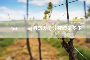 北京消防大学分数线是多少
