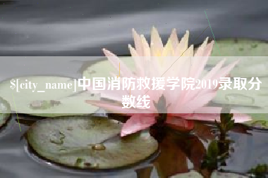 北京中国消防救援学院2019录取分数线