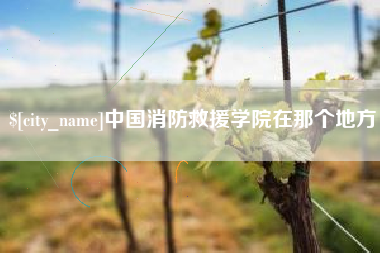 北京中国消防救援学院在那个地方