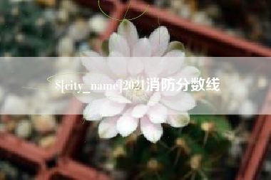 北京2021消防分数线