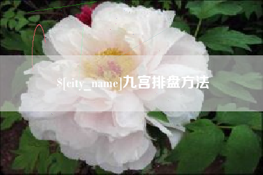 北京九宫排盘方法