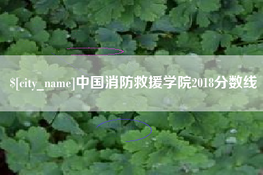 北京中国消防救援学院2018分数线