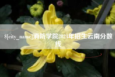 北京消防学院2024年招生云南分数线