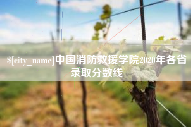 北京中国消防救援学院2020年各省录取分数线