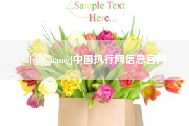 北京中国执行网信息官网