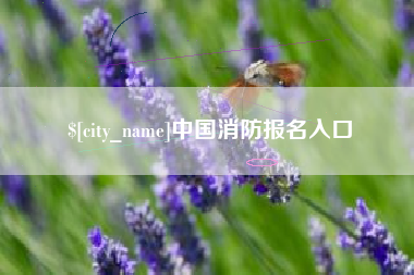 北京中国消防报名入口
