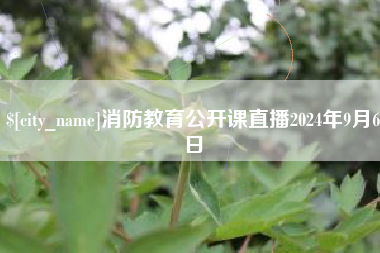 北京消防教育公开课直播2024年9月6日