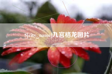 北京九宫格龙图片