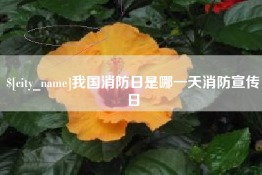 北京我国消防日是哪一天消防宣传日