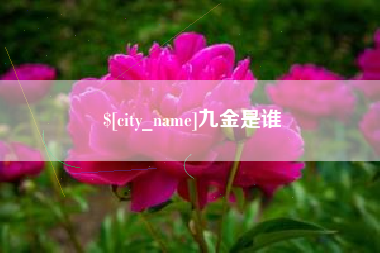 北京九金是谁