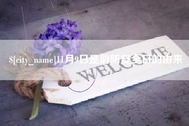 北京11月9日是消防安全日的由来