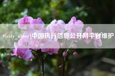 北京中国执行信息公开网平台维护