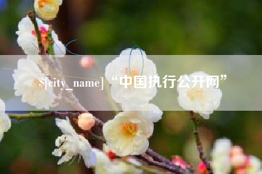 北京“中国执行公开网”