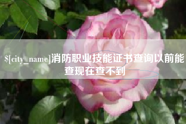 北京消防职业技能证书查询以前能查现在查不到
