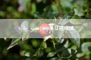 北京5000米及格成绩