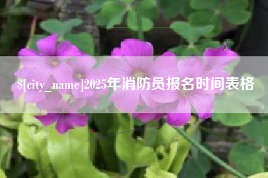 北京2025年消防员报名时间表格