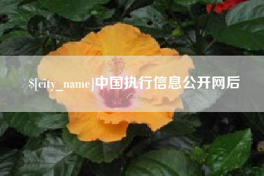 北京中国执行信息公开网后