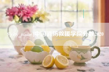 北京中国消防救援学院分数2020