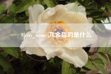 北京九金指的是什么