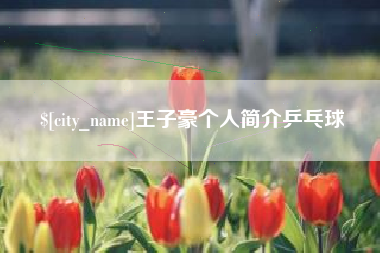 北京王子豪个人简介乒乓球