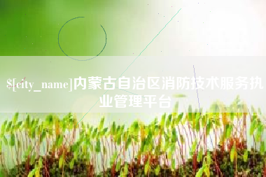 北京内蒙古自治区消防技术服务执业管理平台