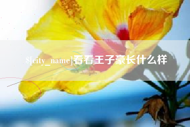 北京看看王子豪长什么样