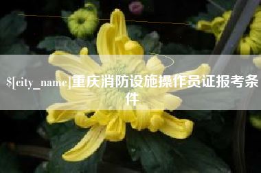 北京重庆消防设施操作员证报考条件