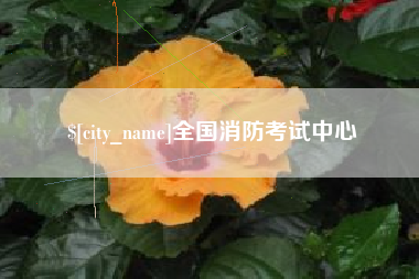 北京全国消防考试中心