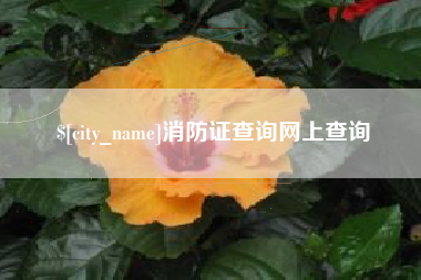 北京消防证查询网上查询