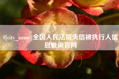 北京全国人民法院失信被执行人信息查询官网