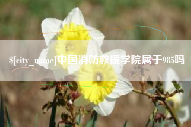 北京中国消防救援学院属于985吗