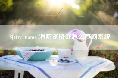 北京消防资格证怎么查询系统