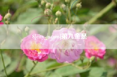 北京第九金是