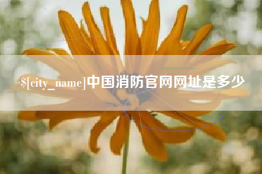 北京中国消防官网网址是多少