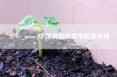 北京中国消防救援学院录分线